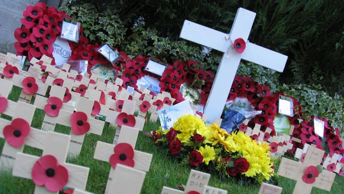 A large white cross stands prominently among numerous smaller wooden crosses, each adorned with a red poppy, placed in green grass, with wreaths and other memorials in the background.